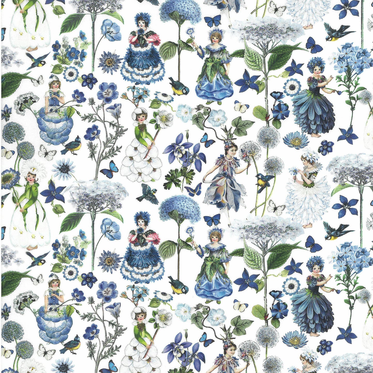 Druck Canterbury Feen