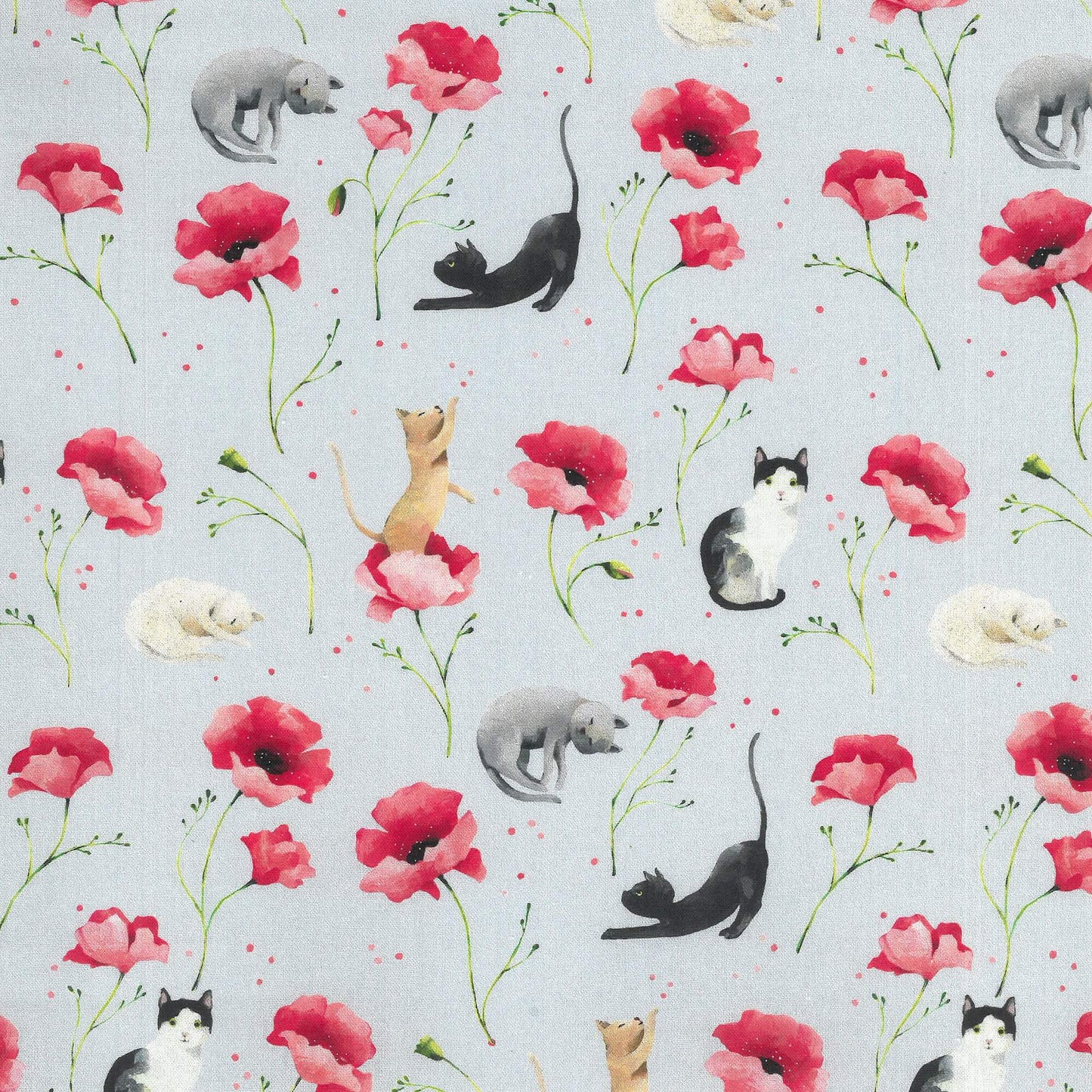 Digitaldruch Catwalk