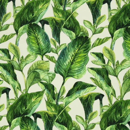 Baumwolljersex "Theo" Blätter -swafing