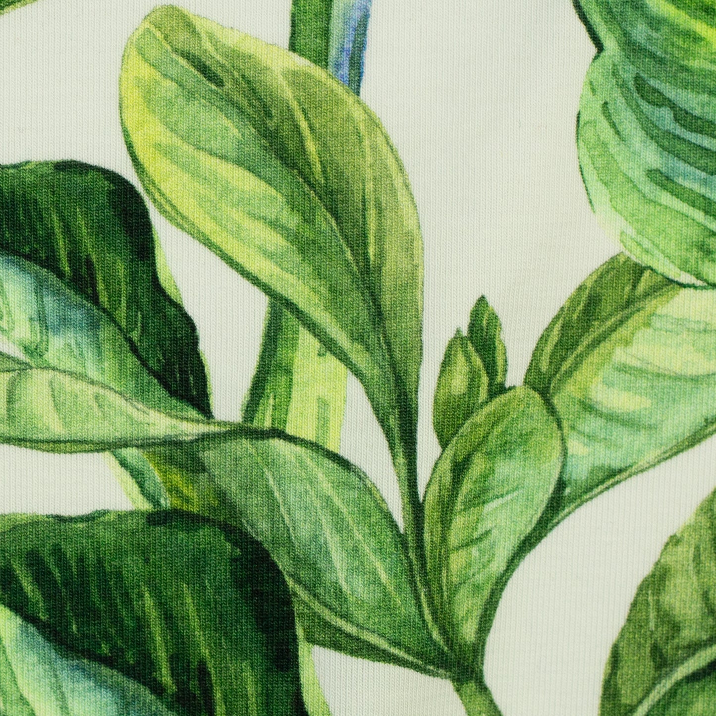 Baumwolljersex "Theo" Blätter -swafing