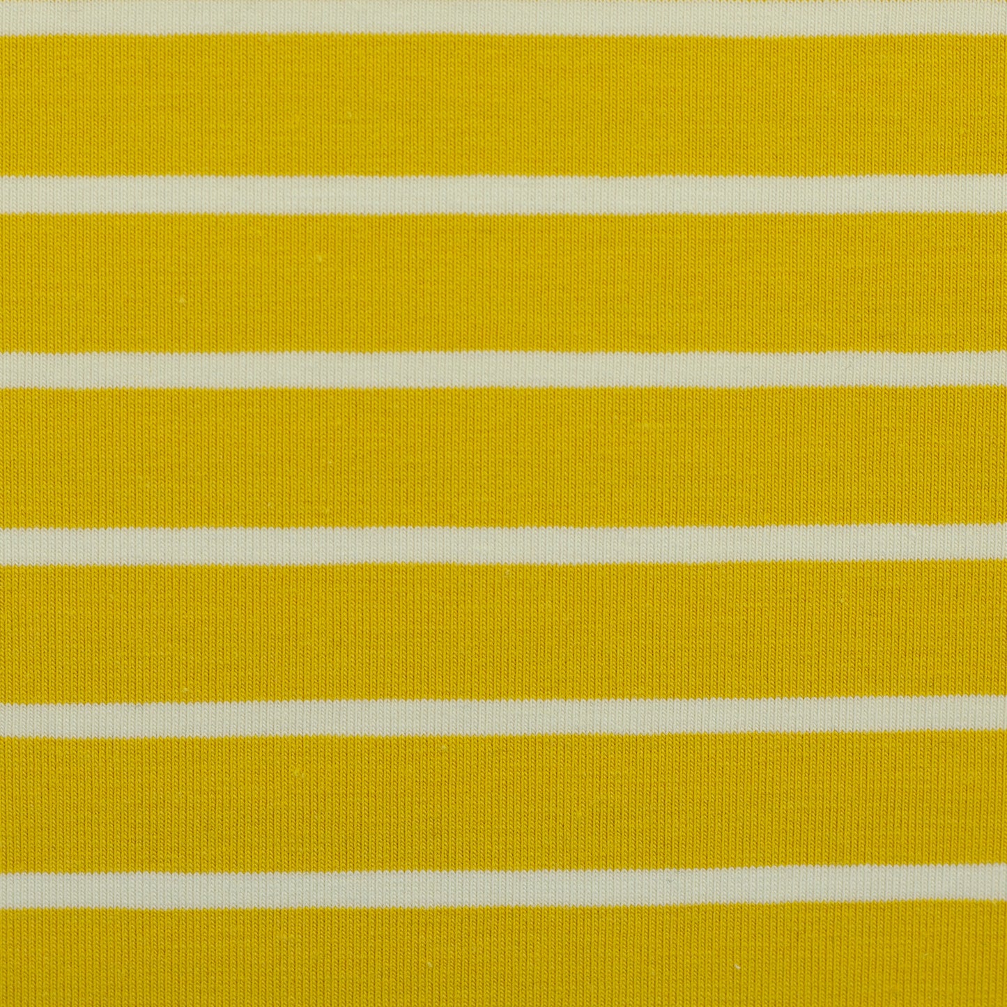 Baumwolljersey "Isa" - Swafing