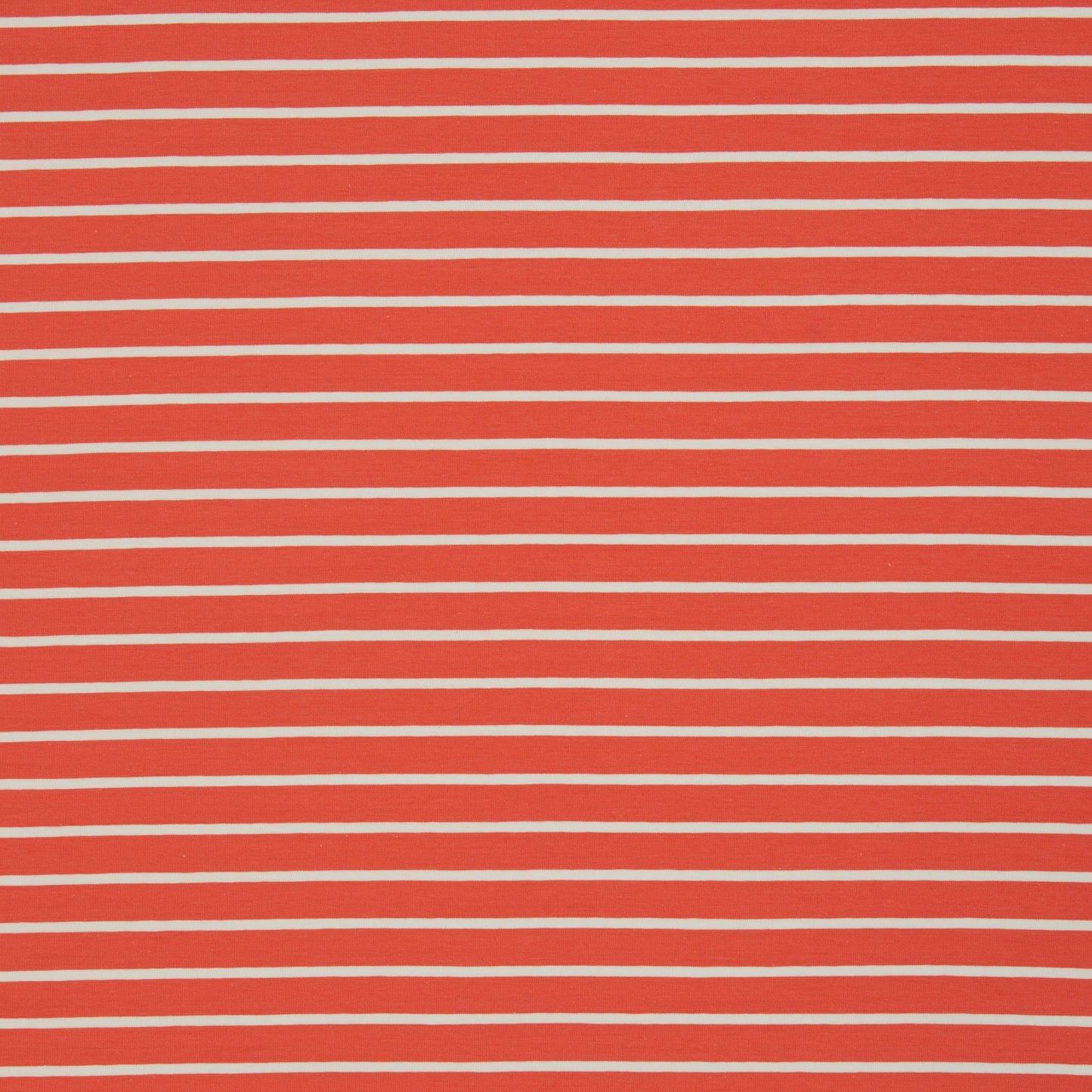 Baumwolljersey "Isa" - Swafing