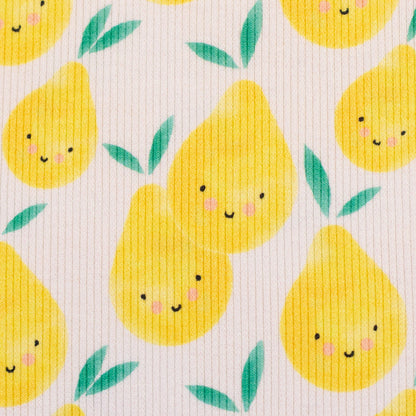 Rippjersey "Geseke- Zirtonen oder doch Birnen?"-Swafing