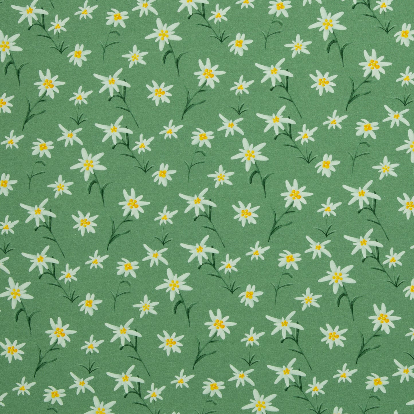 Alpenliebe Edelweiß by Mrs Mint Design, Jersey