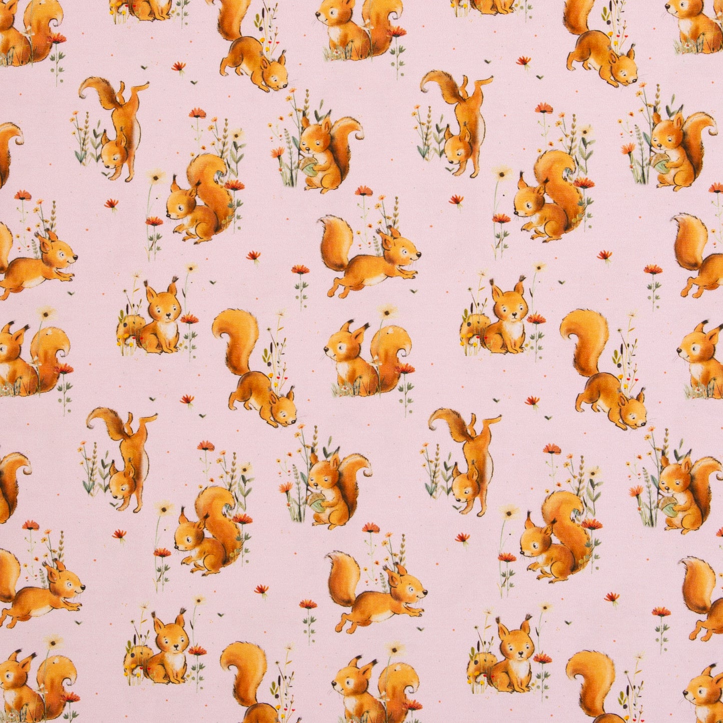 Baumwolljersey "Forest Animals Eichhörnchen" hellrosa