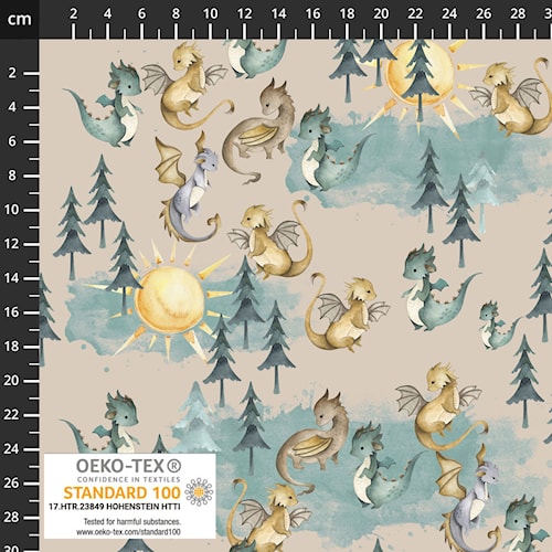 AVALANA Jersey -  mit Drachen