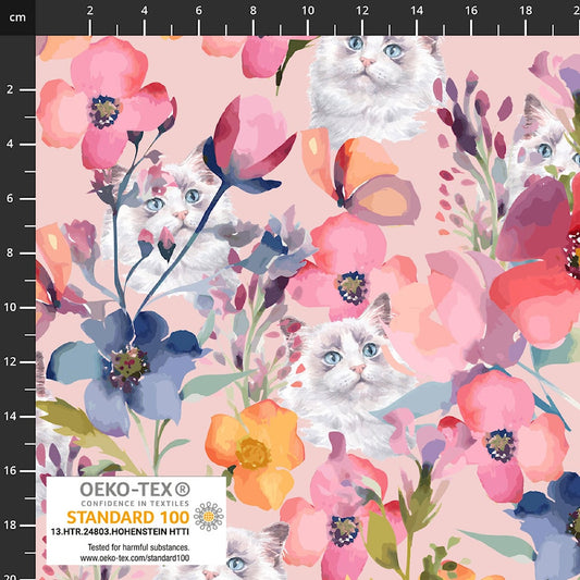 Baumwolljersey - AVALANA  Katzen und Blumen