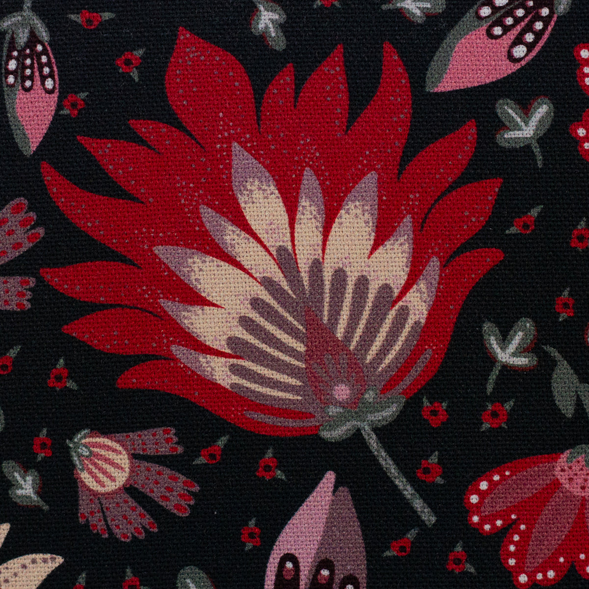 Canvas Bold Blooms by Bienvenido Collorido