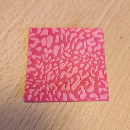 Leo Weblabel XL, 5x5cm